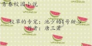 骗子的谎言